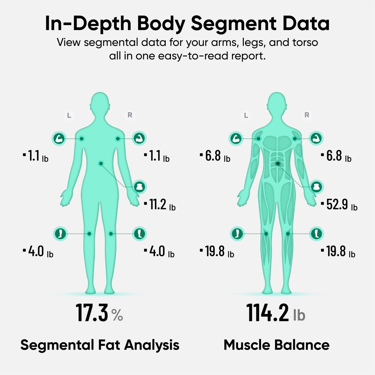 Wyze Scale Ultra Bodyscan Plus WSCLUBP_WH - Wyze Labs, Inc.