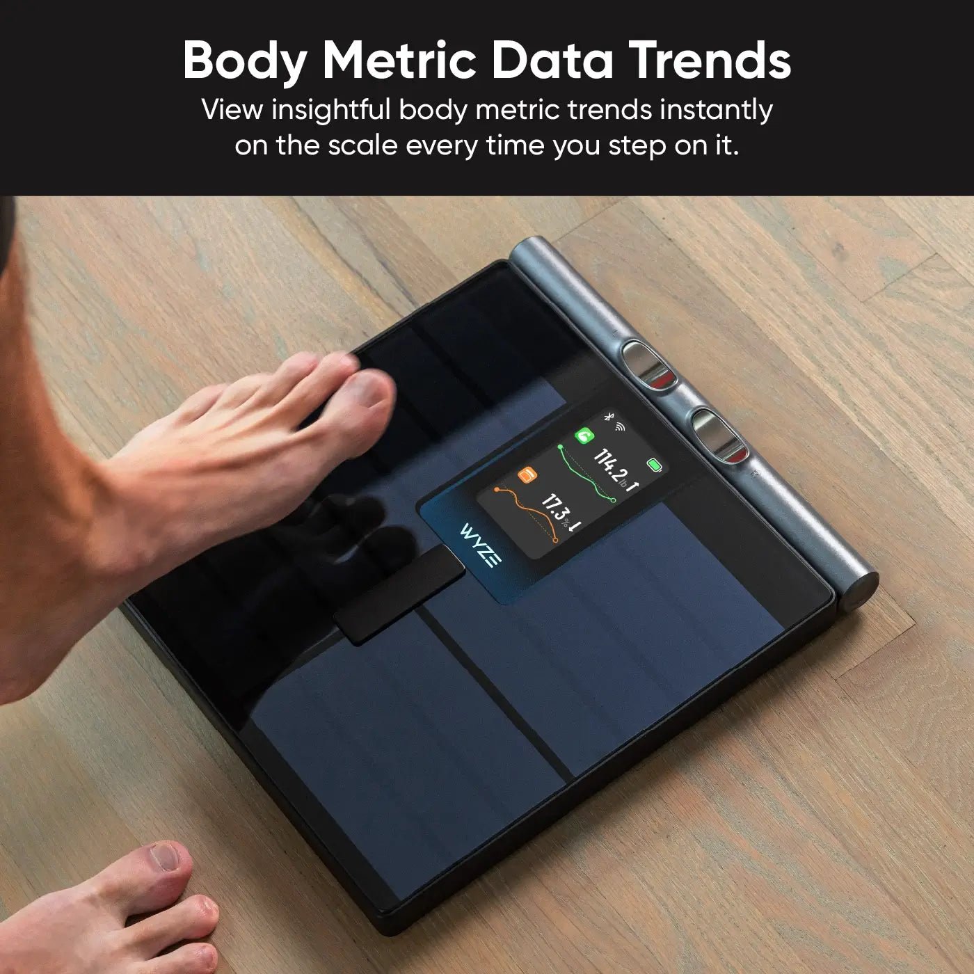 Wyze Scale Ultra BodyScan WSCLUB_WH - Wyze Labs, Inc.