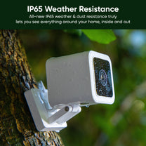 A white camera attached to a tree.
