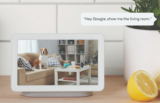 google nest hub wyze