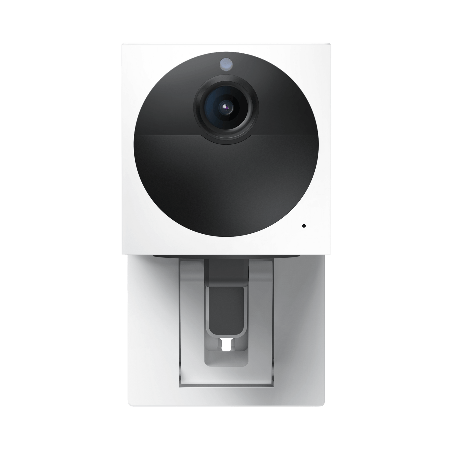 Brug af en computer skæg krabbe Wireless Outdoor Surveillance Home Security Camera | Wyze