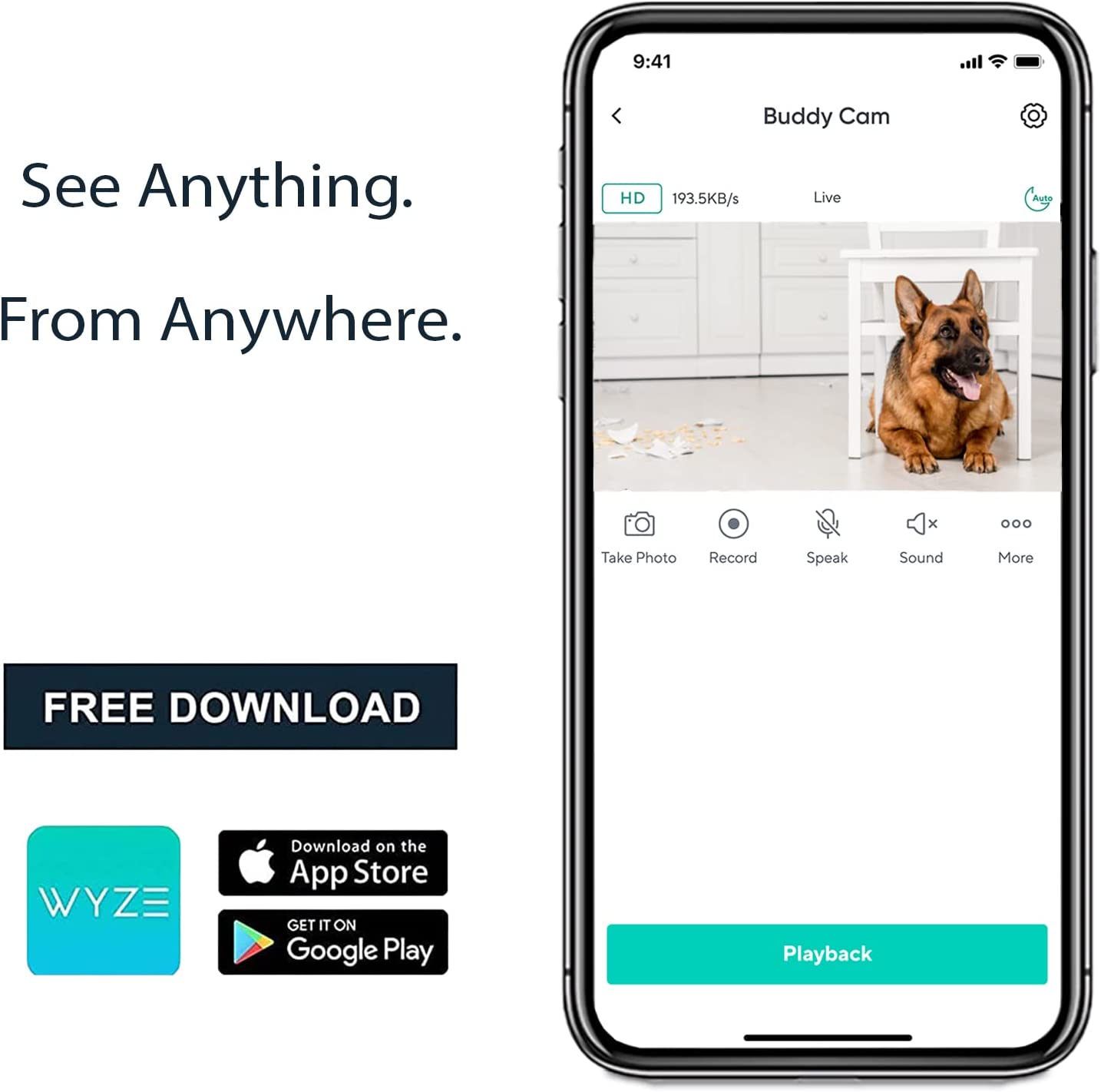 Smartphone with Wyze live view streaming dog. Text overlay "See anything. From Anywhere."