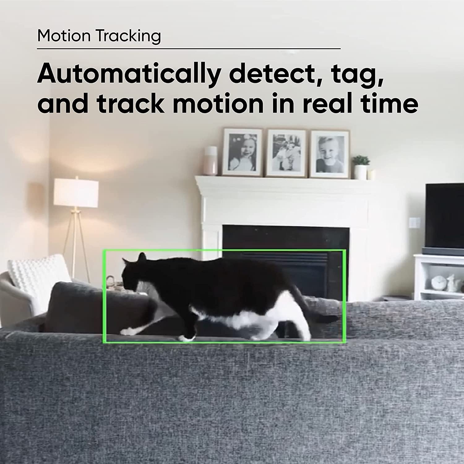 Text overlay "Motion Tracking.". Camera tracking movement of cat on couch.