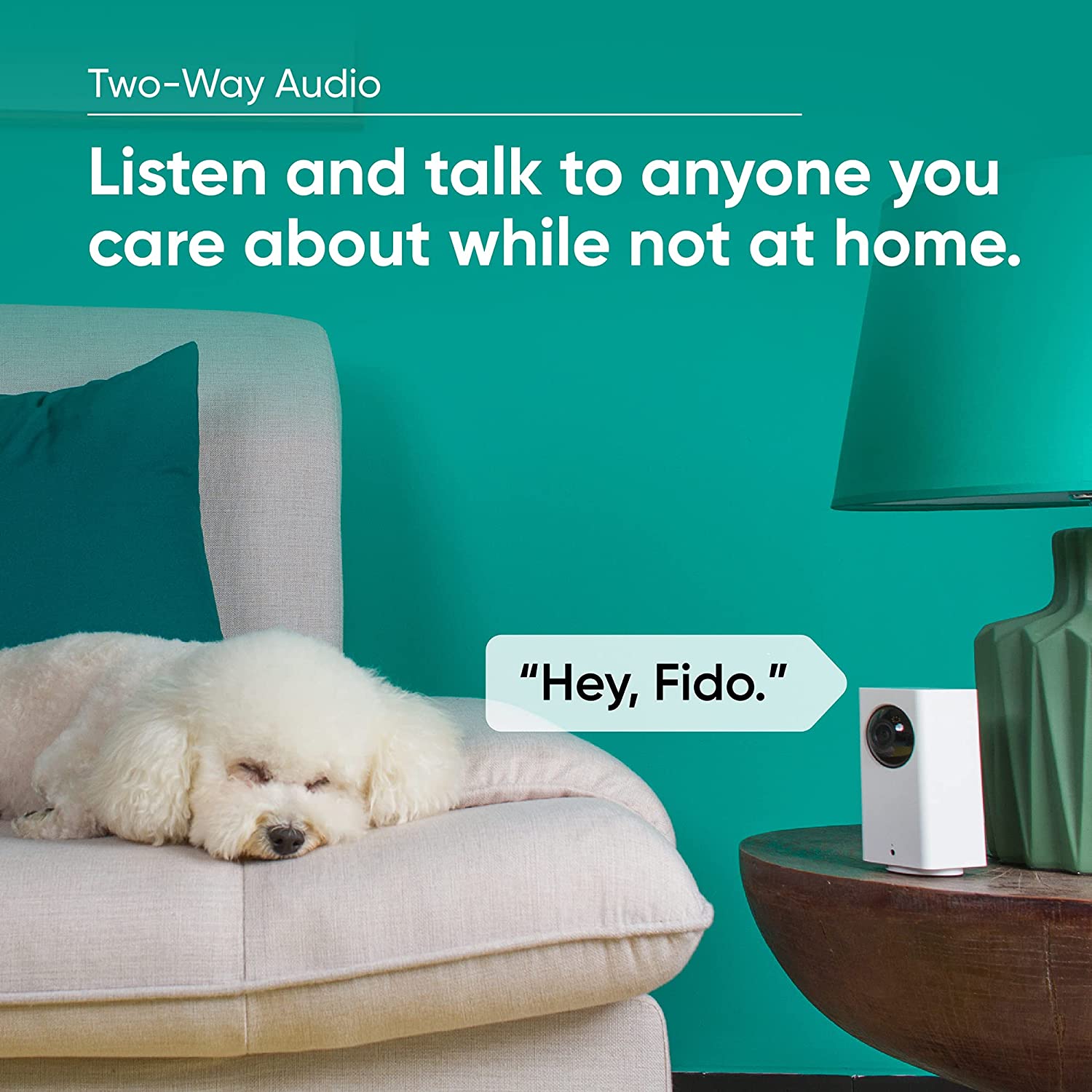Text overlay "Two-Way Audio." Dog sleeping on couch while owner speaks through Wyze Cam Pan.