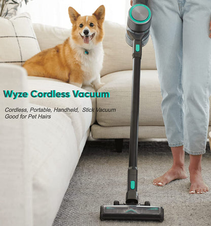 Woman holding a cordless vacuum and a Corgis dog on a white coach