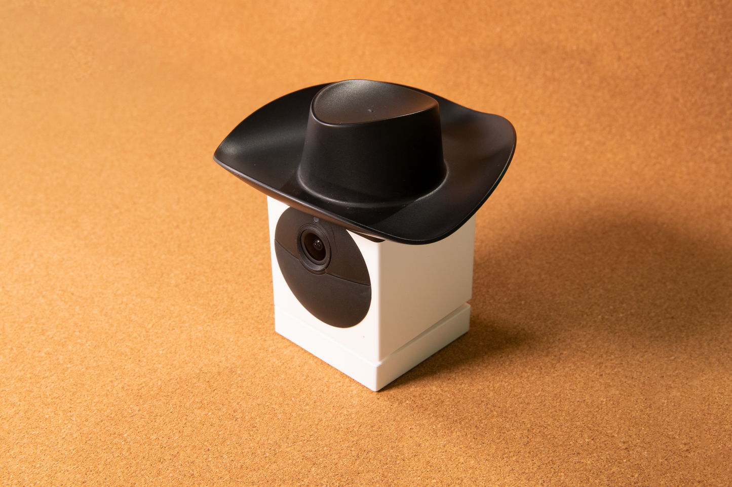 Wyze Cam Outdoor Cowboy Hat