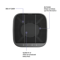 Wyze Air Purifier with a 250 CADR.
