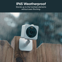 Wyze Cam OG mounted on a wooden fence, providing security and peace of mind.