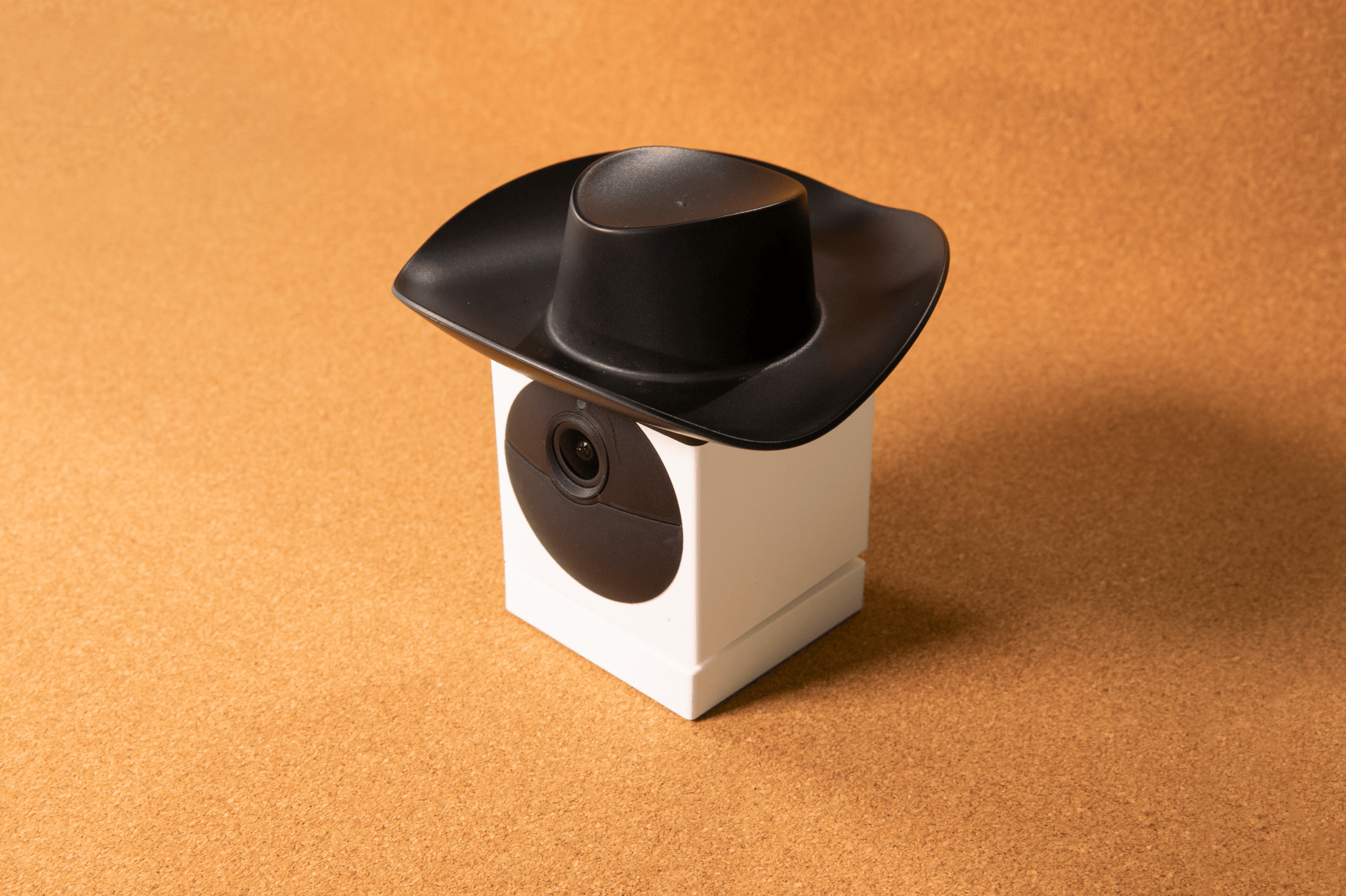 Wyze Cam Outdoor Cowboy Hat WVOD1BEAHAT - Wyze Labs, Inc.