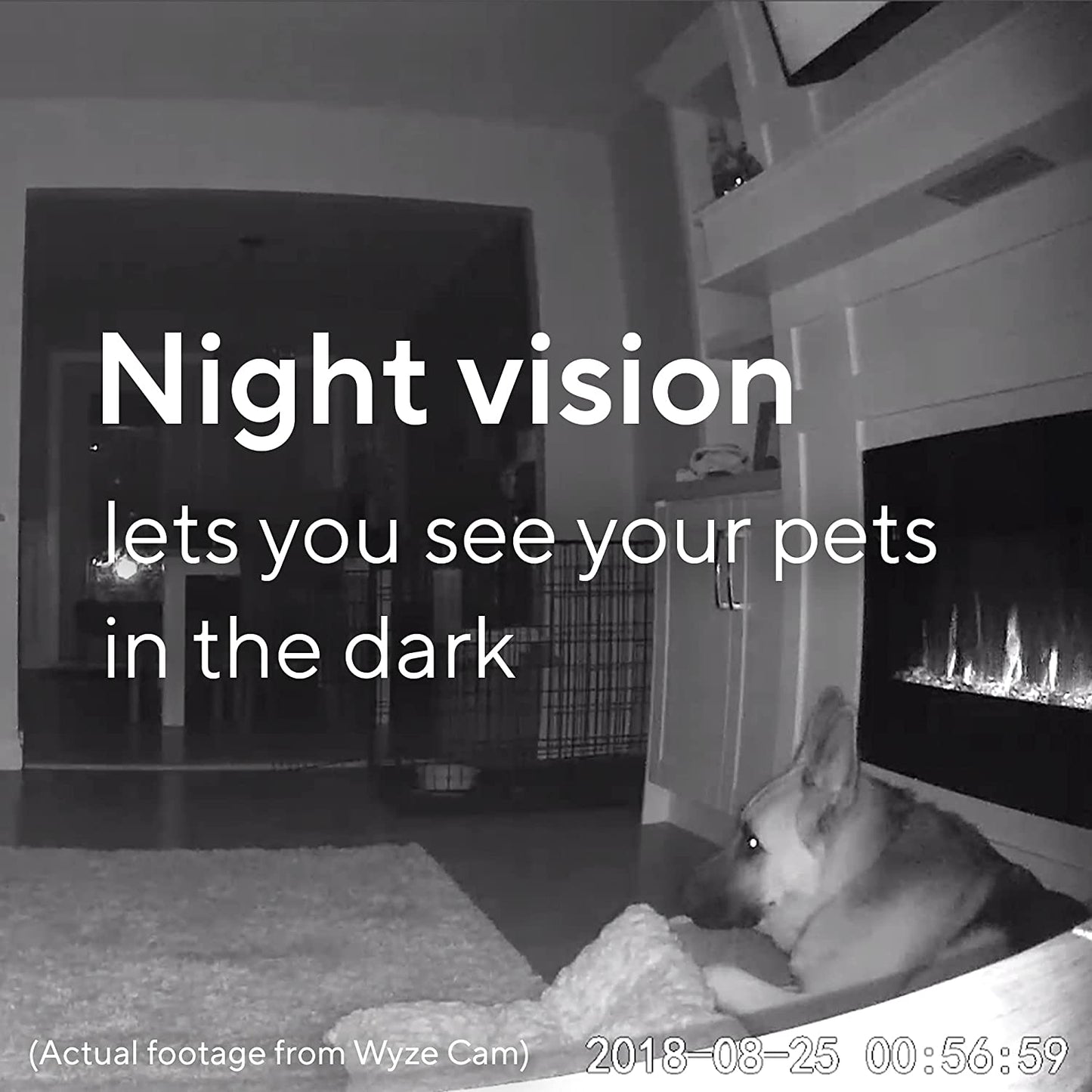 Wyze Cam v2 WYZEC2BK - Wyze Labs, Inc.