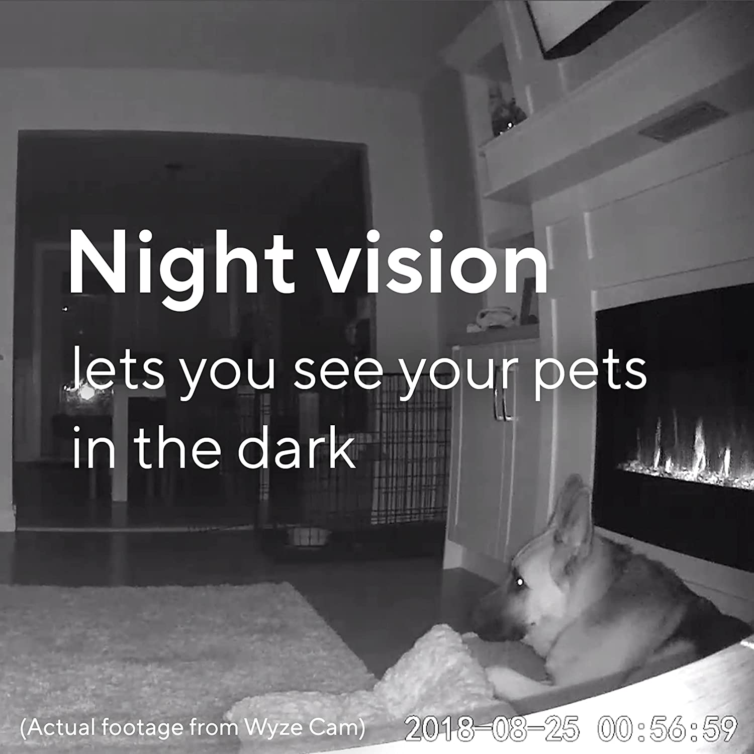 Wyze Cam v2 WYZEC2BK - Wyze Labs, Inc.