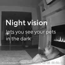 Wyze Cam v2 - 1080p Indoor Camera with Audio - Night vision lets you see your pets in the dark.